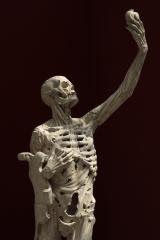 Expositie René! I'm Still Standing